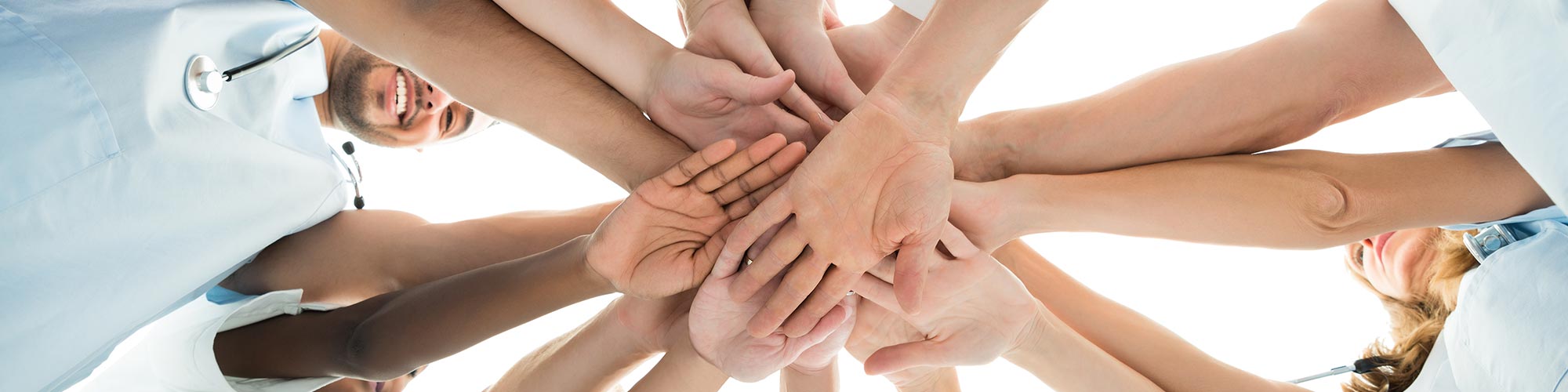 Meet the team header